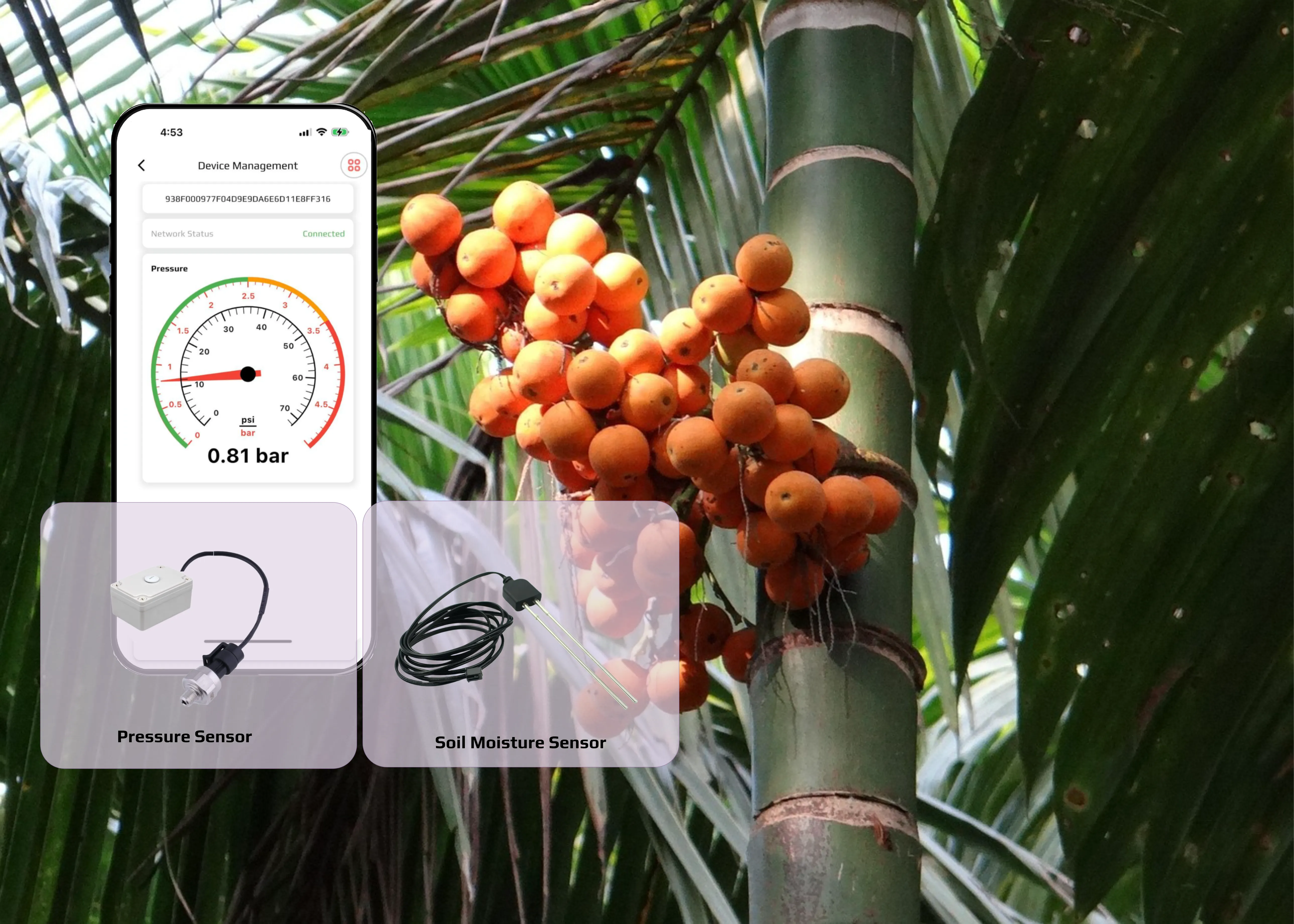 Automate With Sensors